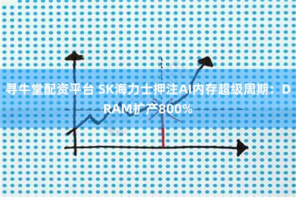 寻牛堂配资平台 SK海力士押注AI内存超级周期：DRAM扩产800%