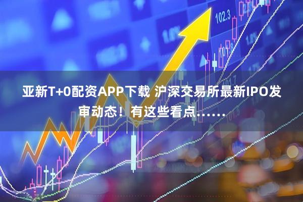 亚新T+0配资APP下载 沪深交易所最新IPO发审动态！有这些看点……