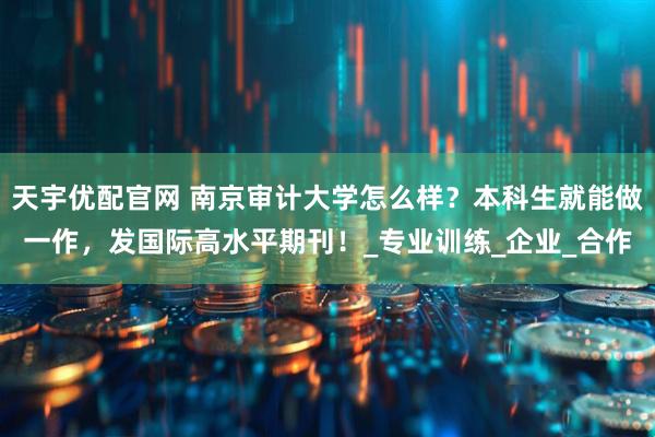 天宇优配官网 南京审计大学怎么样？本科生就能做一作，发国际高水平期刊！_专业训练_企业_合作