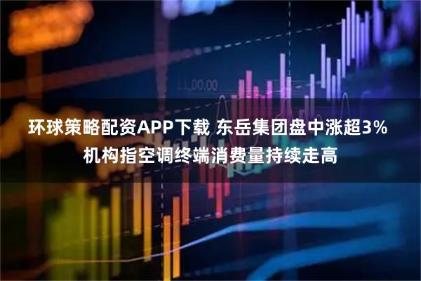 环球策略配资APP下载 东岳集团盘中涨超3% 机构指空调终端消费量持续走高